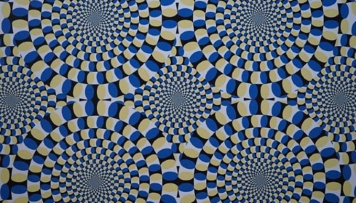 Your Brain Lies to You Each Day