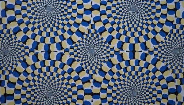 Your Brain Lies to You Each Day