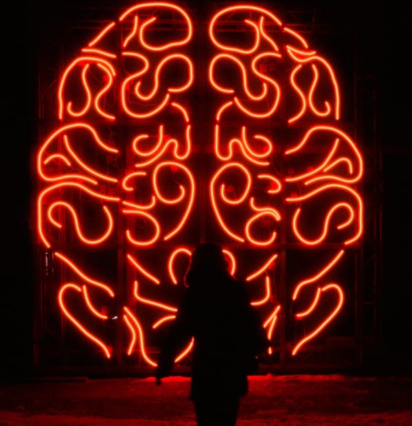 Why your brain feels fried. 